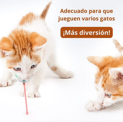 LaserPlay™ - Collar Laser para Gatos