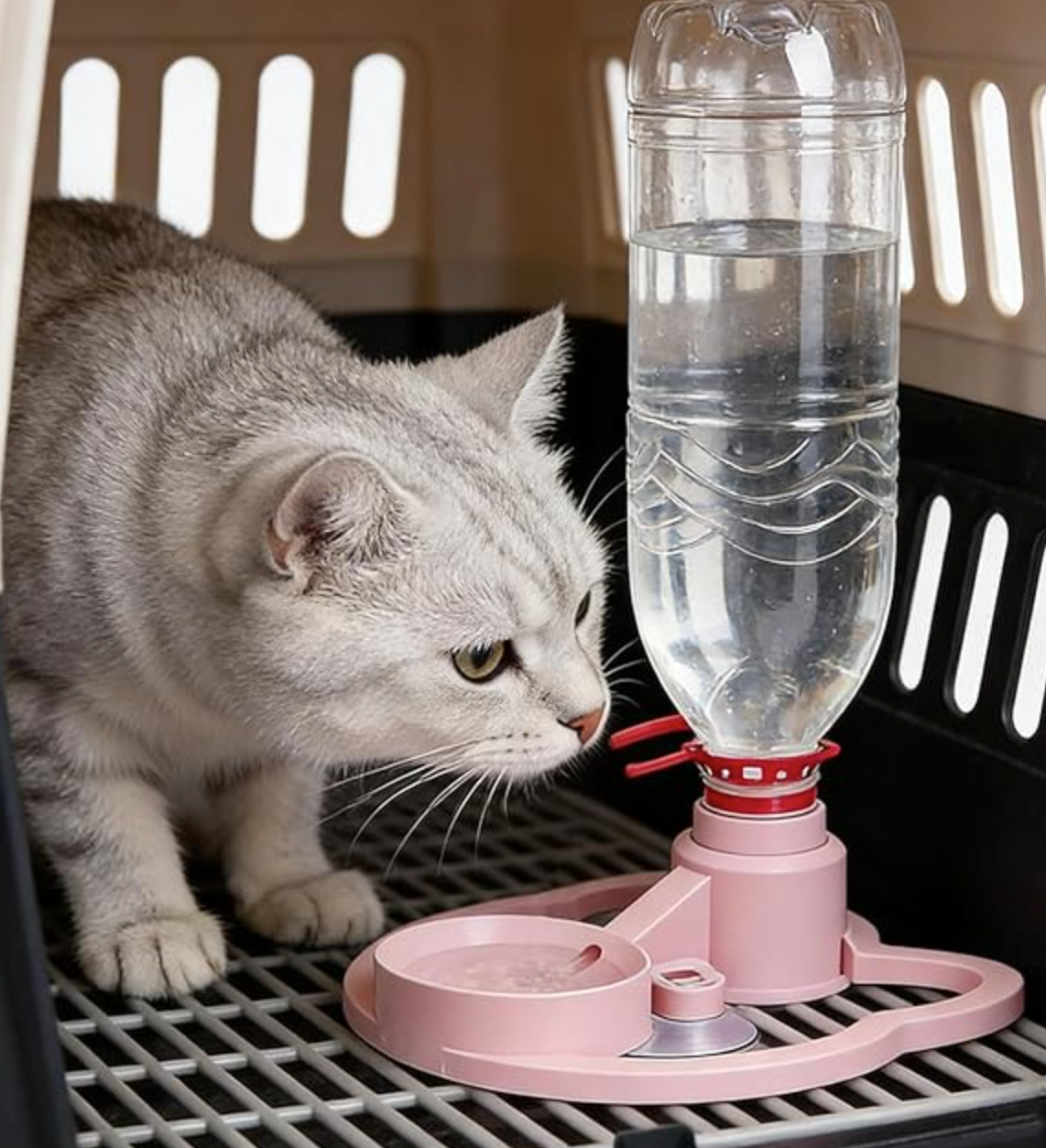 Bebedero Agua para gatos
