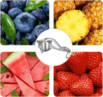 Exprimidor Metálico de Jugo de Fruta Saludable