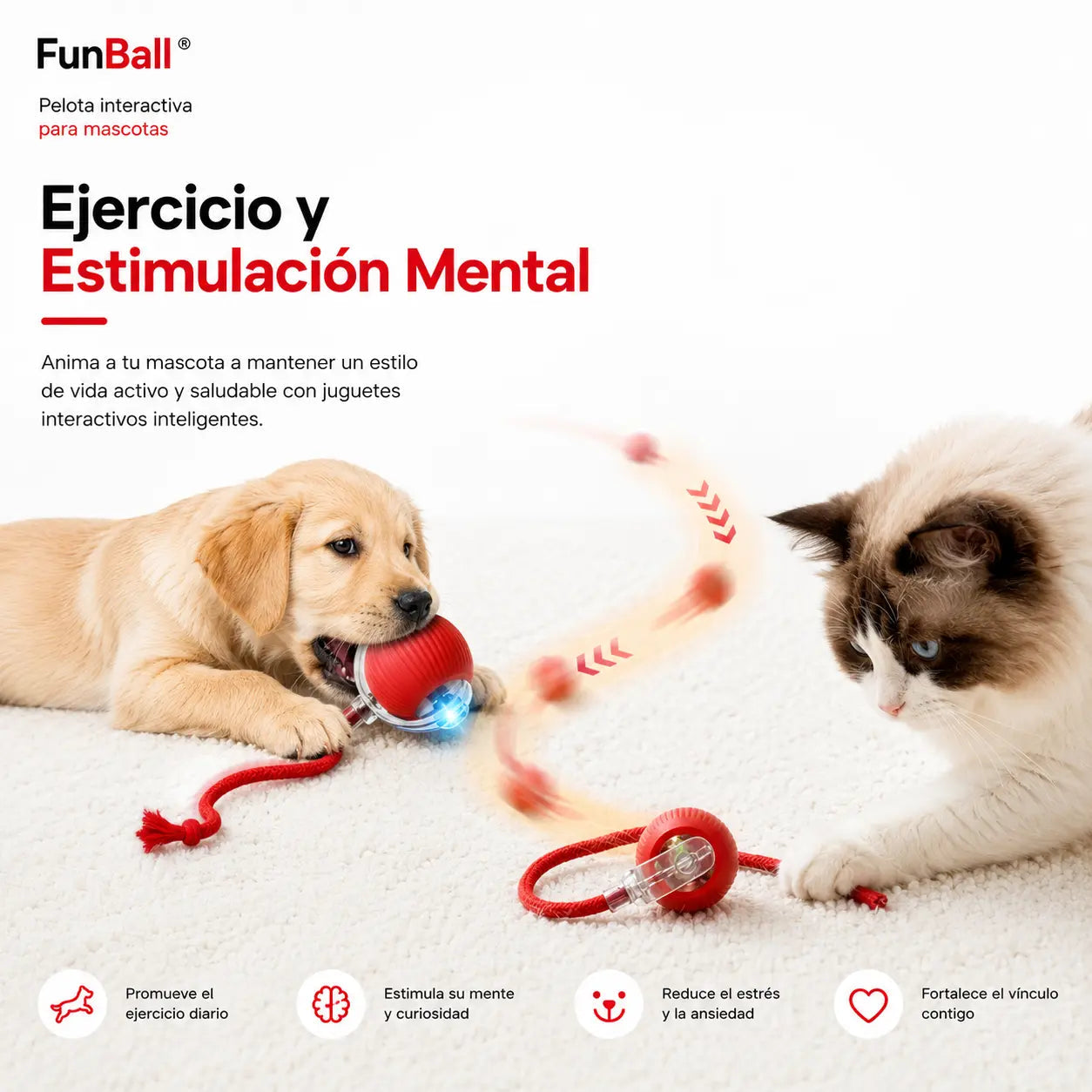 Pelota interactiva para mascotas (Promo hoy: Paga 1 lleva 2)