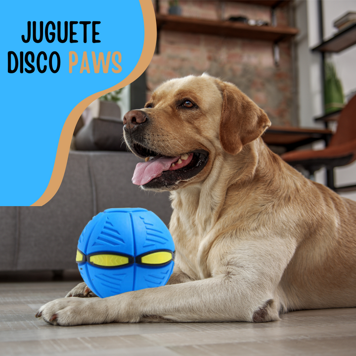 PELOTA DISCO PAWS®