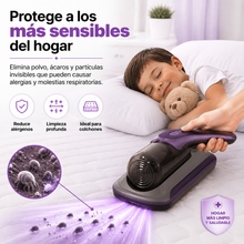 Descubre lo que esconde tu colchón y elimínalo hoy 🛏️