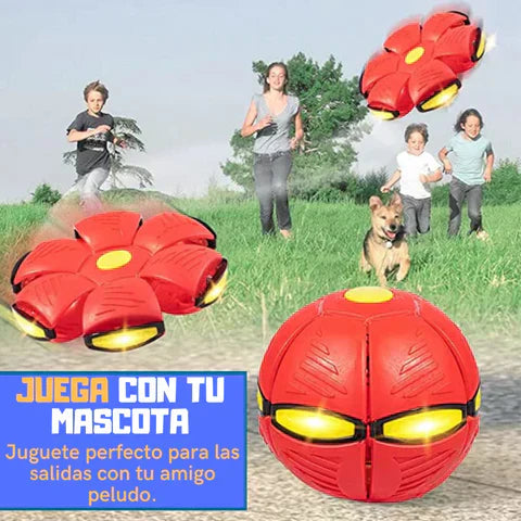 PELOTA DISCO PAWS®