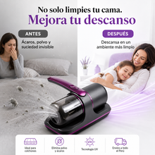 Descubre lo que esconde tu colchón y elimínalo hoy 🛏️